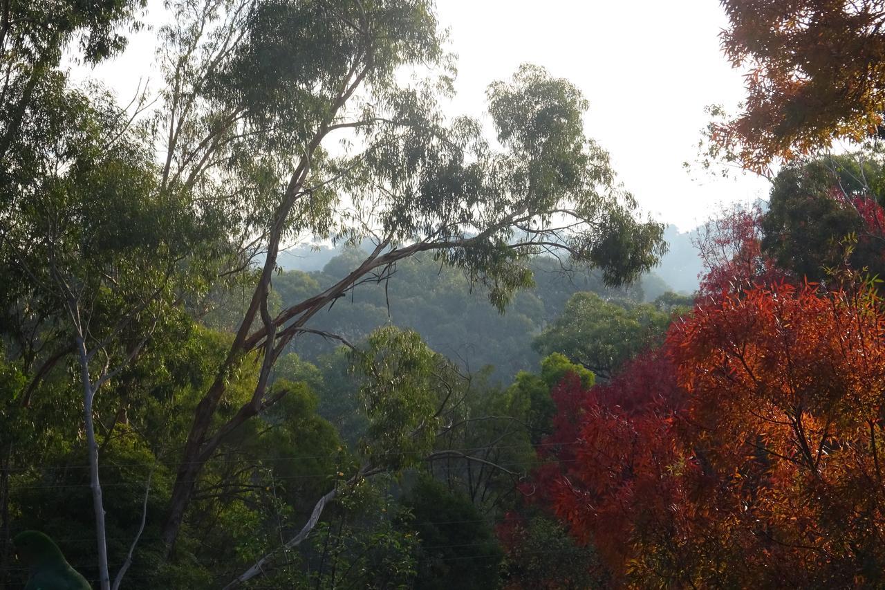 Yarra Ranges Country Apartment Mount Evelyn Eksteriør billede